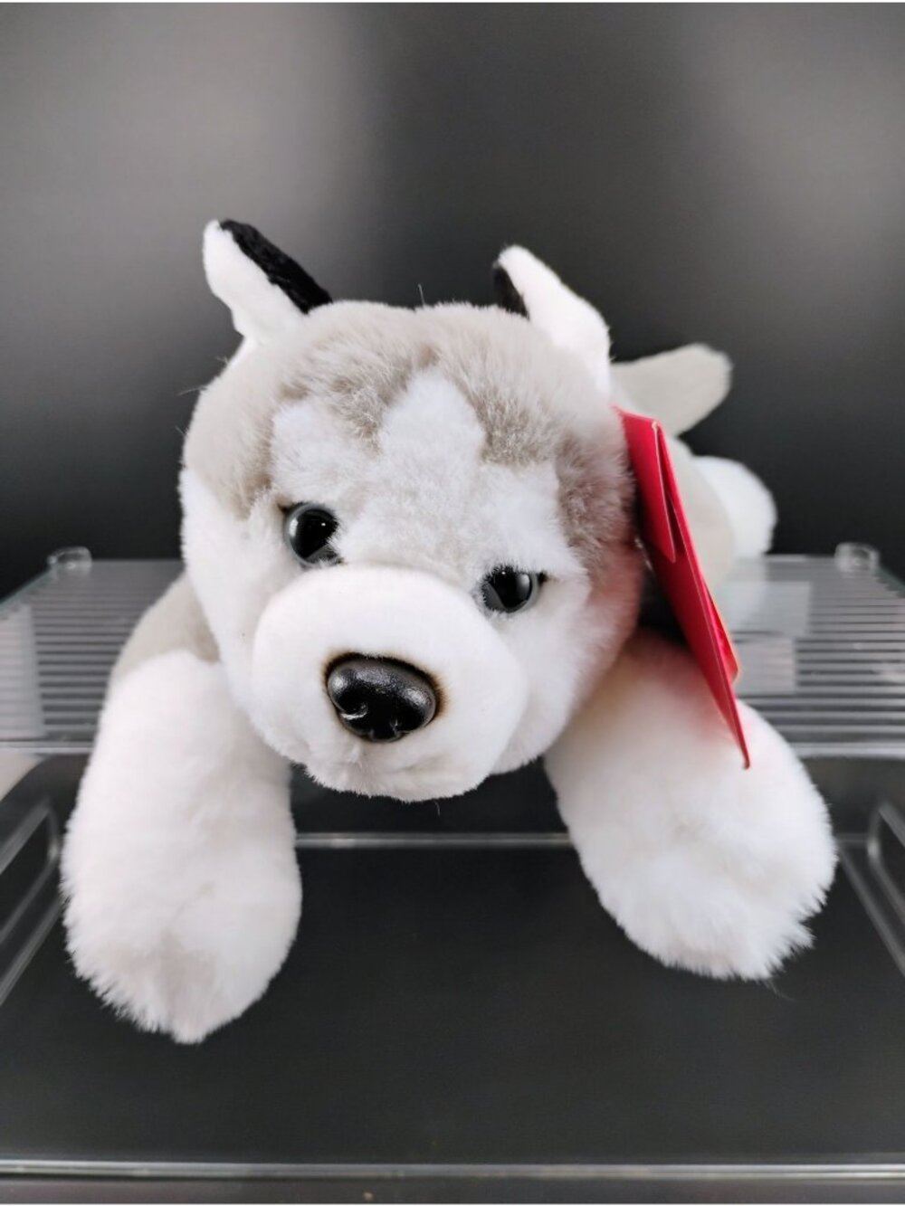 FAO Schwarz Adopt A Pets Plush Husky Puppy Gray/White 14" Soft Toy